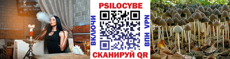 купить наркотики сайты Чаплыгин Псилоцибиновые грибы ЛСД